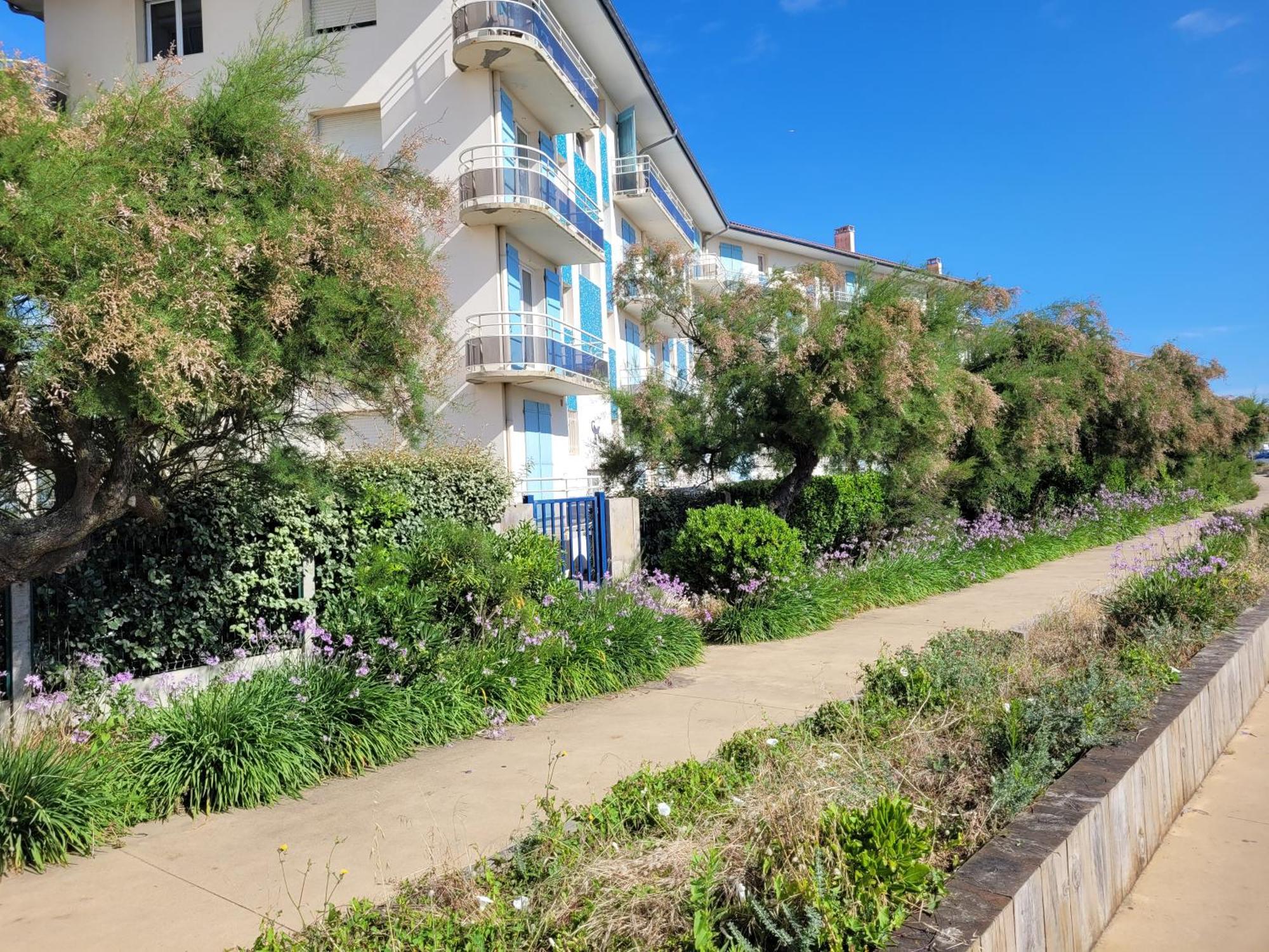 Sable - Appartement Renove Pour 4 Personnes Soorts-Hossegor Kültér fotó